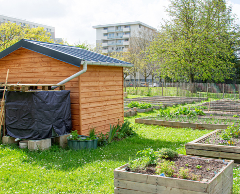 le jardin partagé Edwin Aldrin