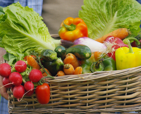 un jardinier tenant un panier de légumes